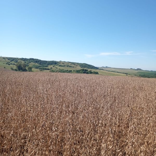 WhatsApp Image 2025-12-20 at 15.07.16 (2)