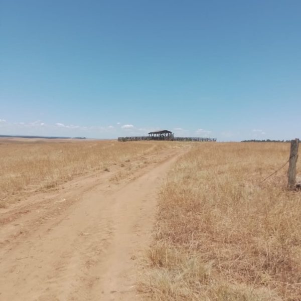 WhatsApp Image 2025-12-20 at 16.33.48 (3)