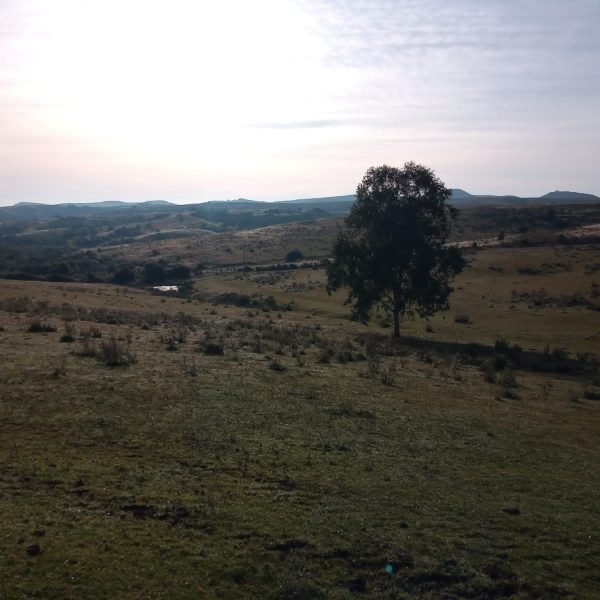 WhatsApp Image 2025-12-22 at 19.30.20 (1)