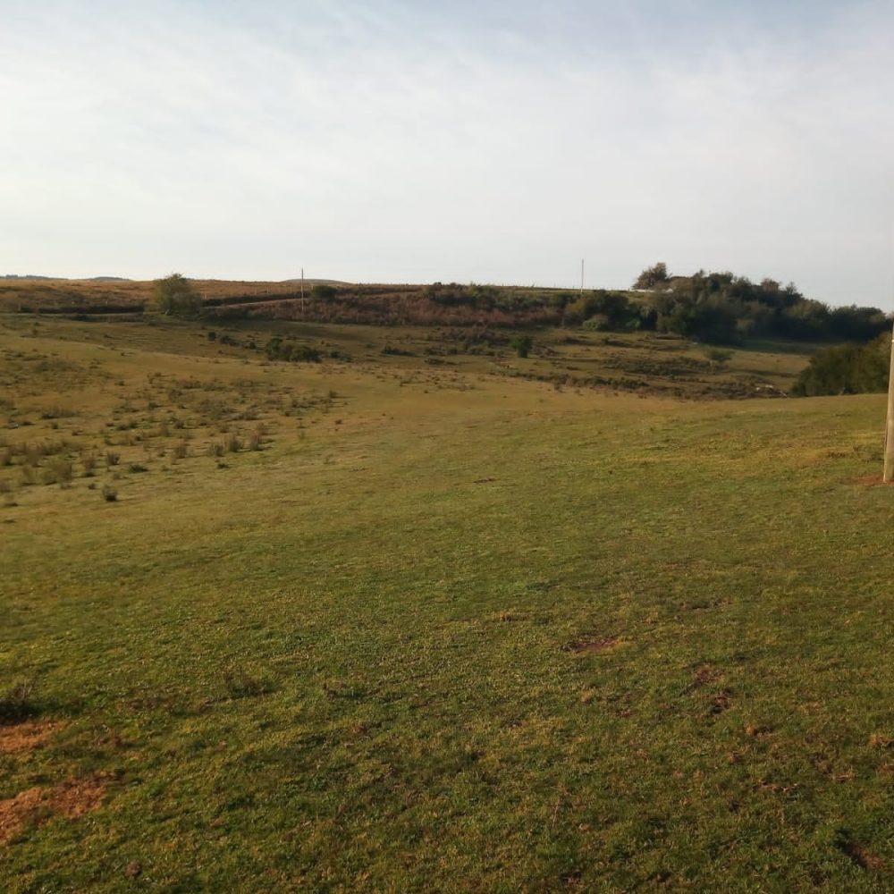 WhatsApp Image 2025-12-22 at 19.30.20