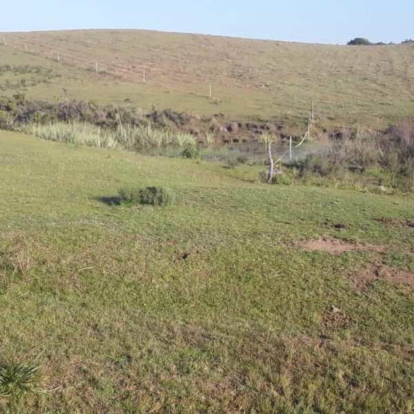 WhatsApp Image 2025-12-22 at 19.30.21 (1)