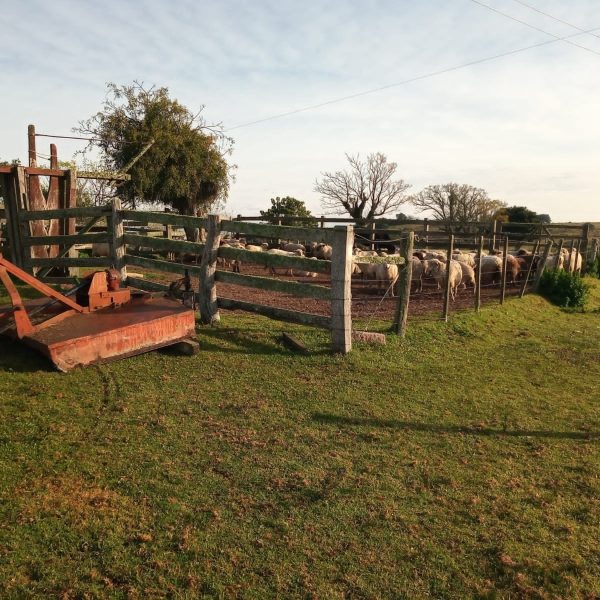 WhatsApp Image 2025-12-22 at 19.30.21