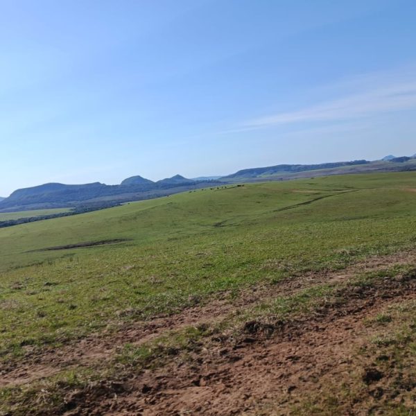 WhatsApp Image 2025-12-23 at 17.10.51 (1)