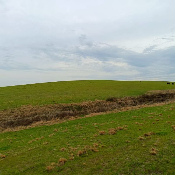 WhatsApp Image 2025-12-23 at 17.10.51 (2)