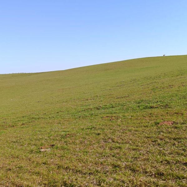 WhatsApp Image 2025-12-23 at 17.10.52 (1)