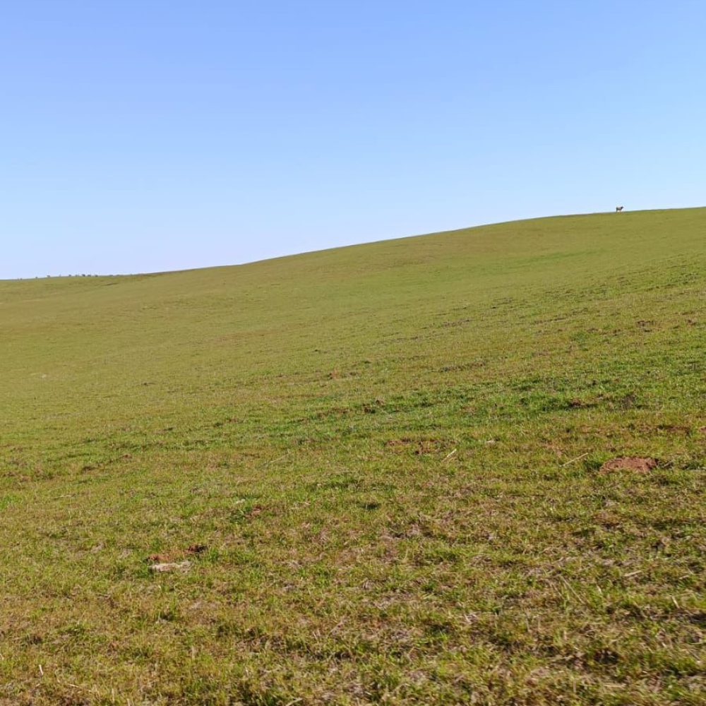 WhatsApp Image 2025-12-23 at 17.10.52 (1)