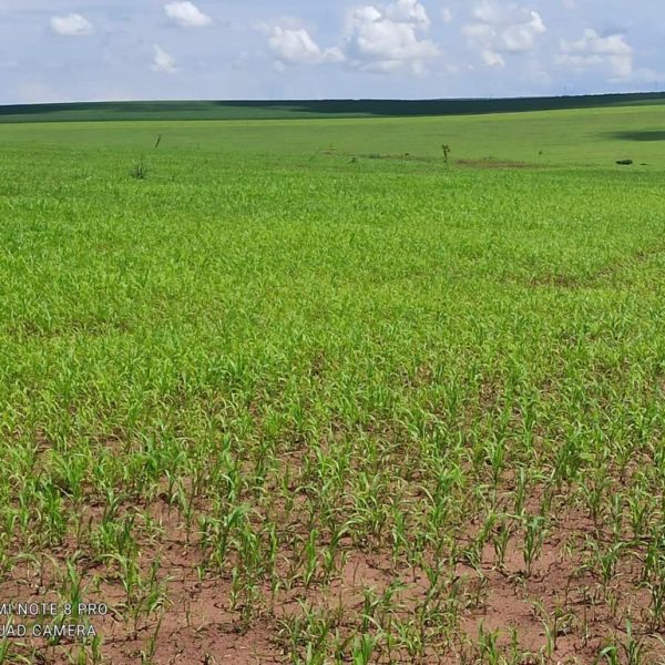 WhatsApp Image 2025-12-23 at 17.10.52 (2)