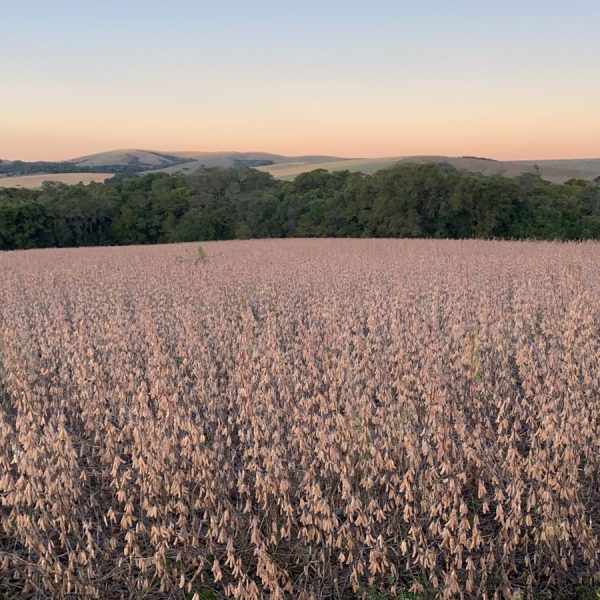 WhatsApp Image 2025-12-23 at 19.30.37 (1)