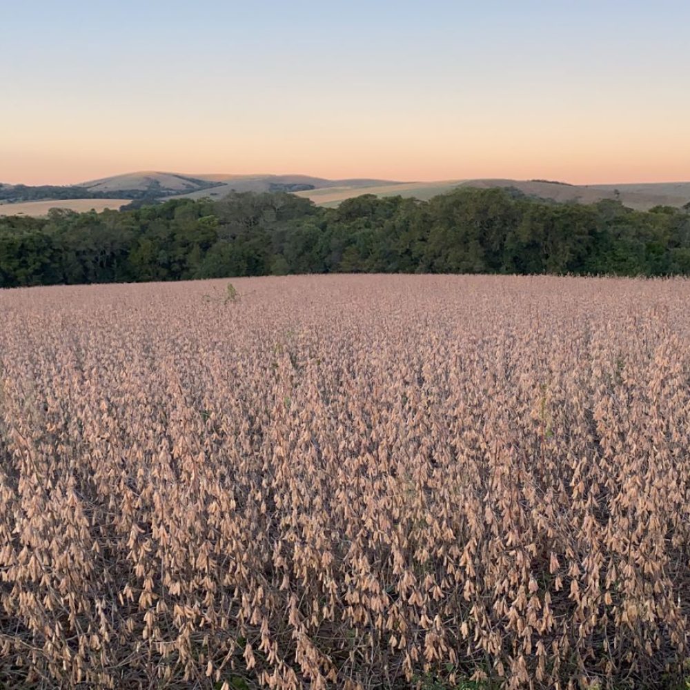 WhatsApp Image 2025-12-23 at 19.30.37 (1)