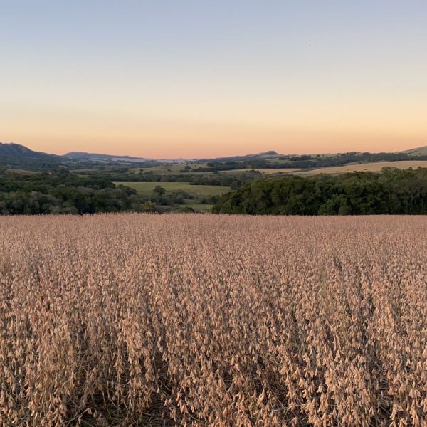 WhatsApp Image 2025-12-23 at 19.30.37