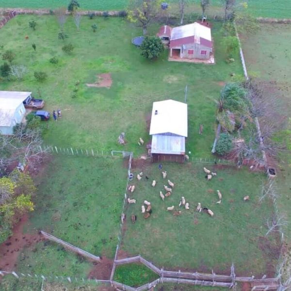 WhatsApp Image 2025-12-24 at 14.54.58