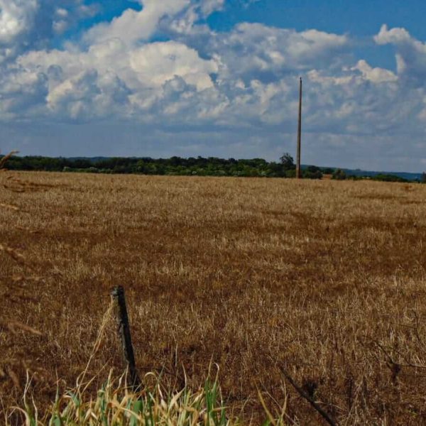 WhatsApp Image 2025-12-24 at 17.36.00