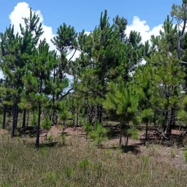 WhatsApp Image 2025-12-24 at 18.15.44