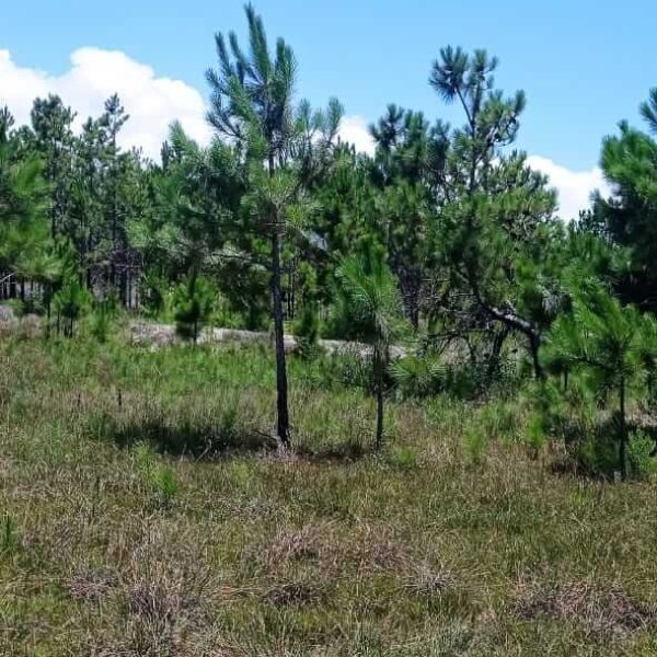 WhatsApp Image 2025-12-24 at 18.16.01