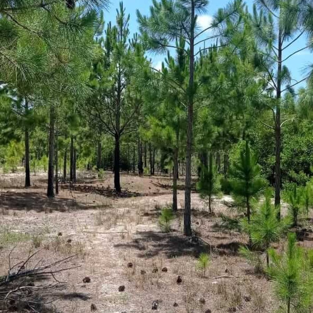 WhatsApp Image 2025-12-24 at 18.16.24