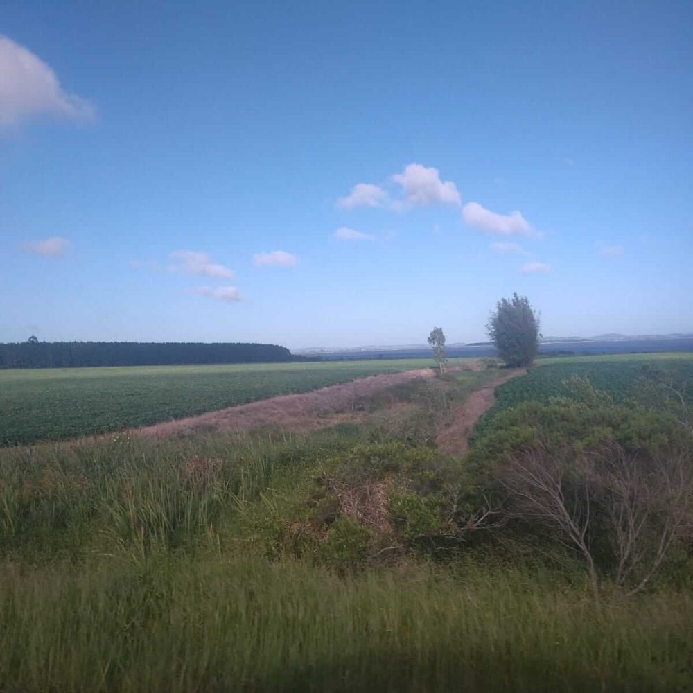 WhatsApp Image 2025-12-24 at 18.37.44