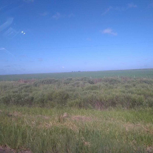 WhatsApp Image 2025-12-24 at 18.38.09