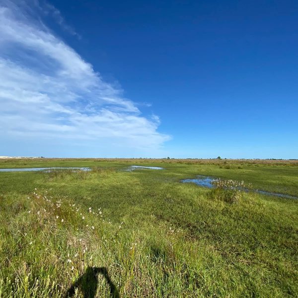 WhatsApp Image 2025-12-24 at 18.38.34