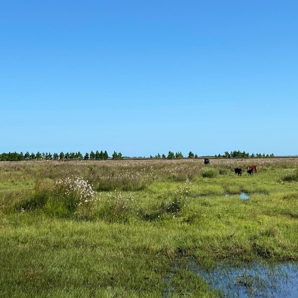 WhatsApp Image 2025-12-24 at 18.38.59