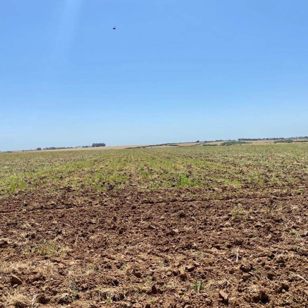 WhatsApp Image 2025-12-24 at 18.49.48