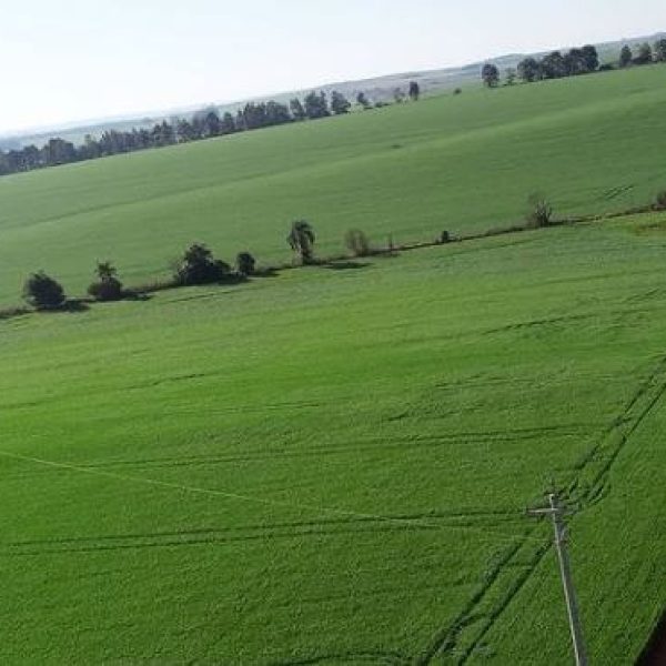 WhatsApp Image 2025-12-24 at 18.55.07