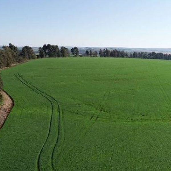 WhatsApp Image 2025-12-24 at 18.55.44