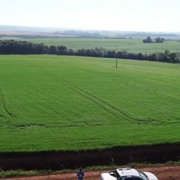 WhatsApp Image 2025-12-24 at 18.56.08