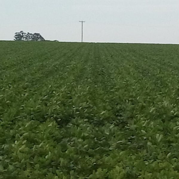 WhatsApp Image 2025-12-24 at 19.22.10