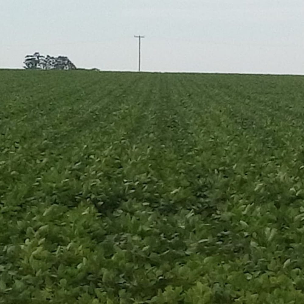 WhatsApp Image 2025-12-24 at 19.22.10