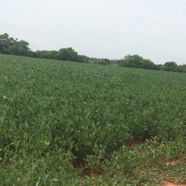 WhatsApp Image 2025-12-24 at 19.22.28