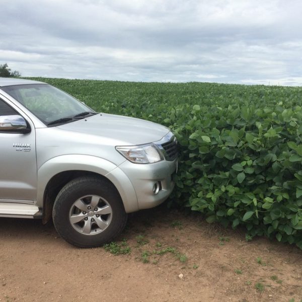 WhatsApp Image 2025-12-24 at 19.22.49