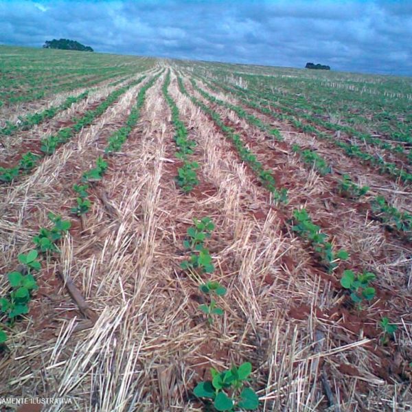 WhatsApp Image 2025-12-24 at 20.22.03