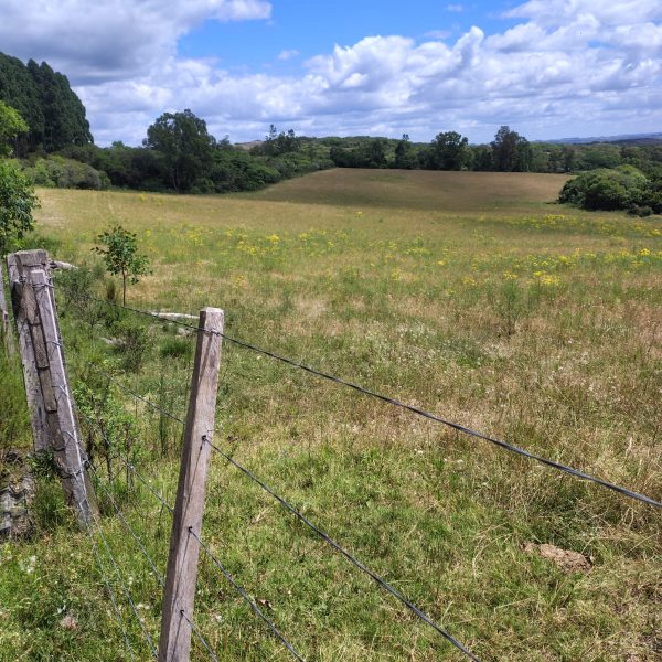 WhatsApp Image 2025-12-25 at 16.41.59 (1)