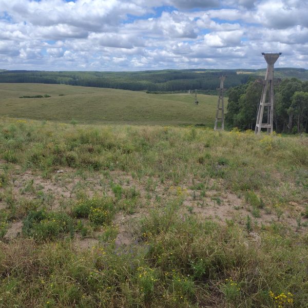 WhatsApp Image 2025-12-25 at 16.41.59 (2)