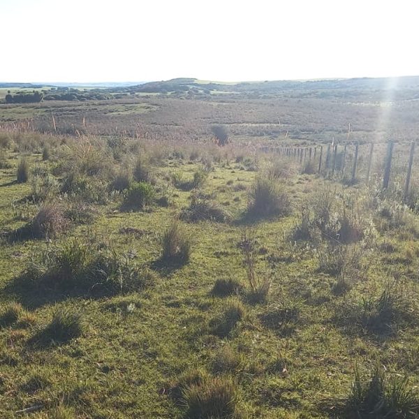 WhatsApp Image 2025-12-29 at 16.26.43 (2)