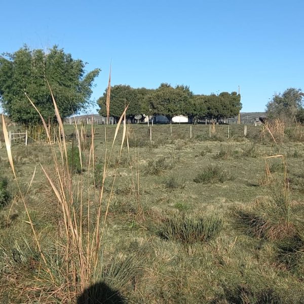 WhatsApp Image 2025-12-29 at 16.26.43