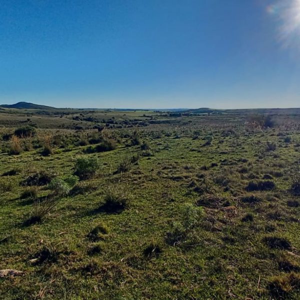 WhatsApp Image 2025-12-29 at 16.26.44