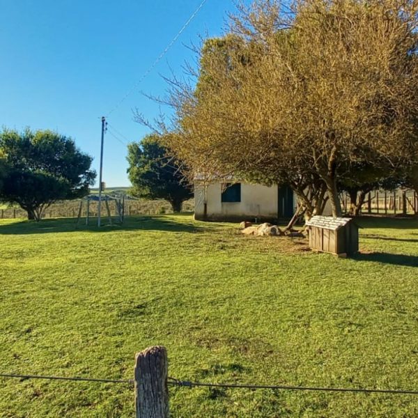 WhatsApp Image 2025-12-29 at 16.26.46 (1)