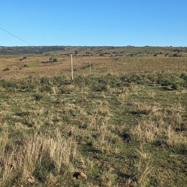 WhatsApp Image 2025-12-29 at 16.26.46 (3)