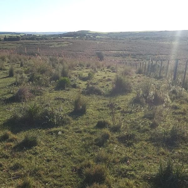 WhatsApp Image 2025-12-29 at 16.26.46