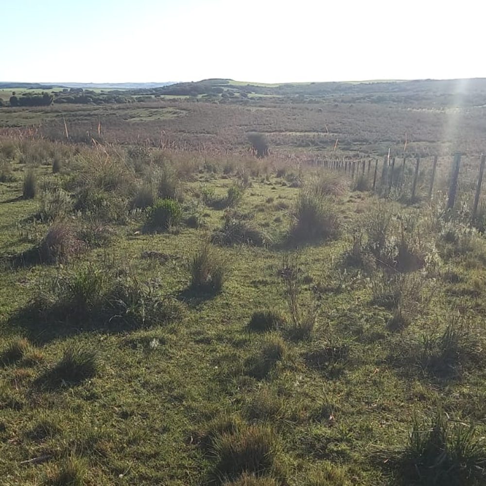 WhatsApp Image 2025-12-29 at 16.26.46