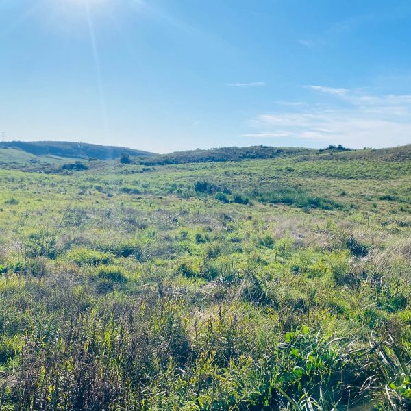 WhatsApp Image 2025-12-29 at 16.33.44