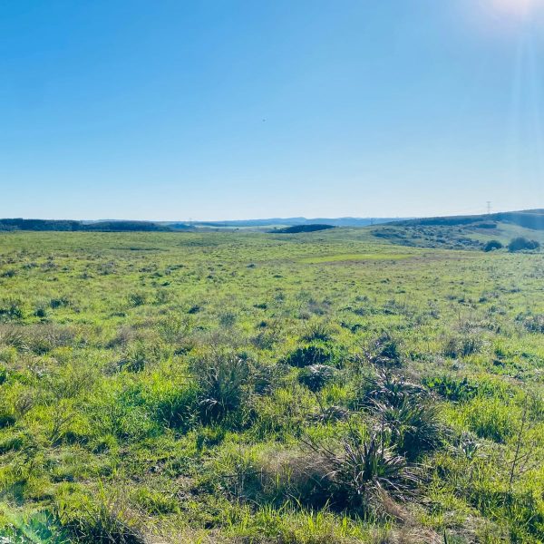 WhatsApp Image 2025-12-29 at 16.33.45 (1)