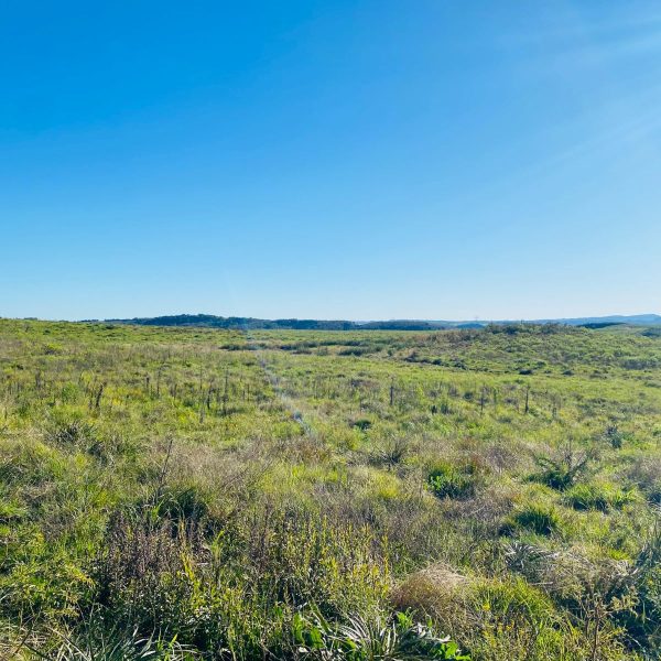 WhatsApp Image 2025-12-29 at 16.33.45 (2)