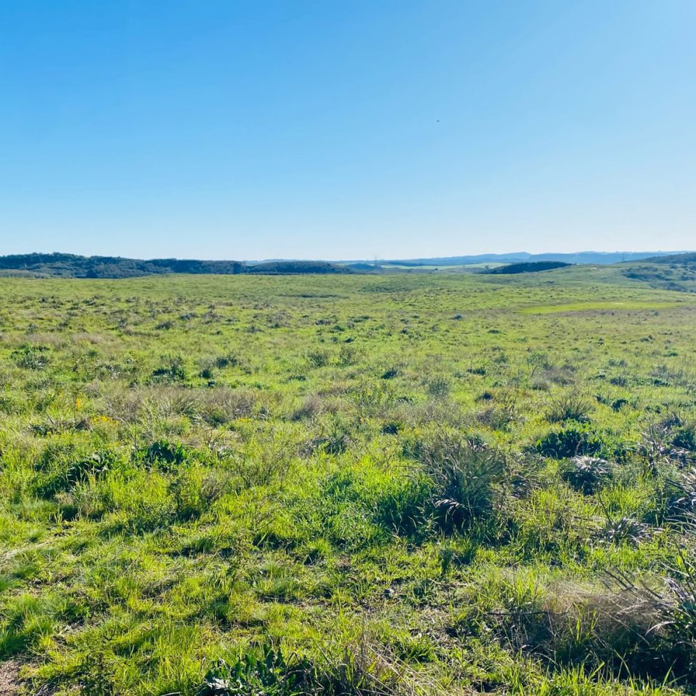 WhatsApp Image 2025-12-29 at 16.33.45