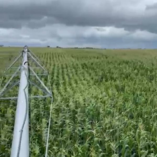 WhatsApp Image 2026-01-03 at 11.59.41