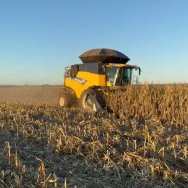 WhatsApp Image 2026-01-03 at 12.01.31