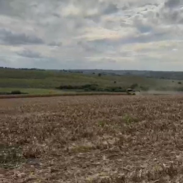 WhatsApp Image 2026-01-03 at 12.02.42