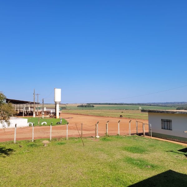 WhatsApp Image 2026-02-12 at 07.02.26