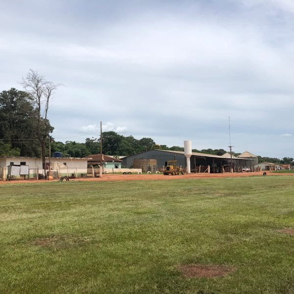 WhatsApp Image 2026-02-12 at 07.02.27